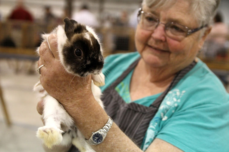 Mid-Tex RBA Rabbit Show
